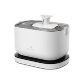 Dockstream Cordless Fountain