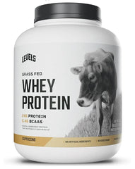 Nutrition Whey Protein Powder