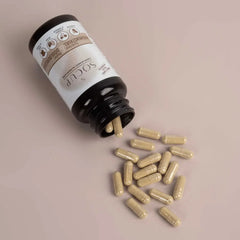 PMS & Menstrual Comfort Dietary Supplement